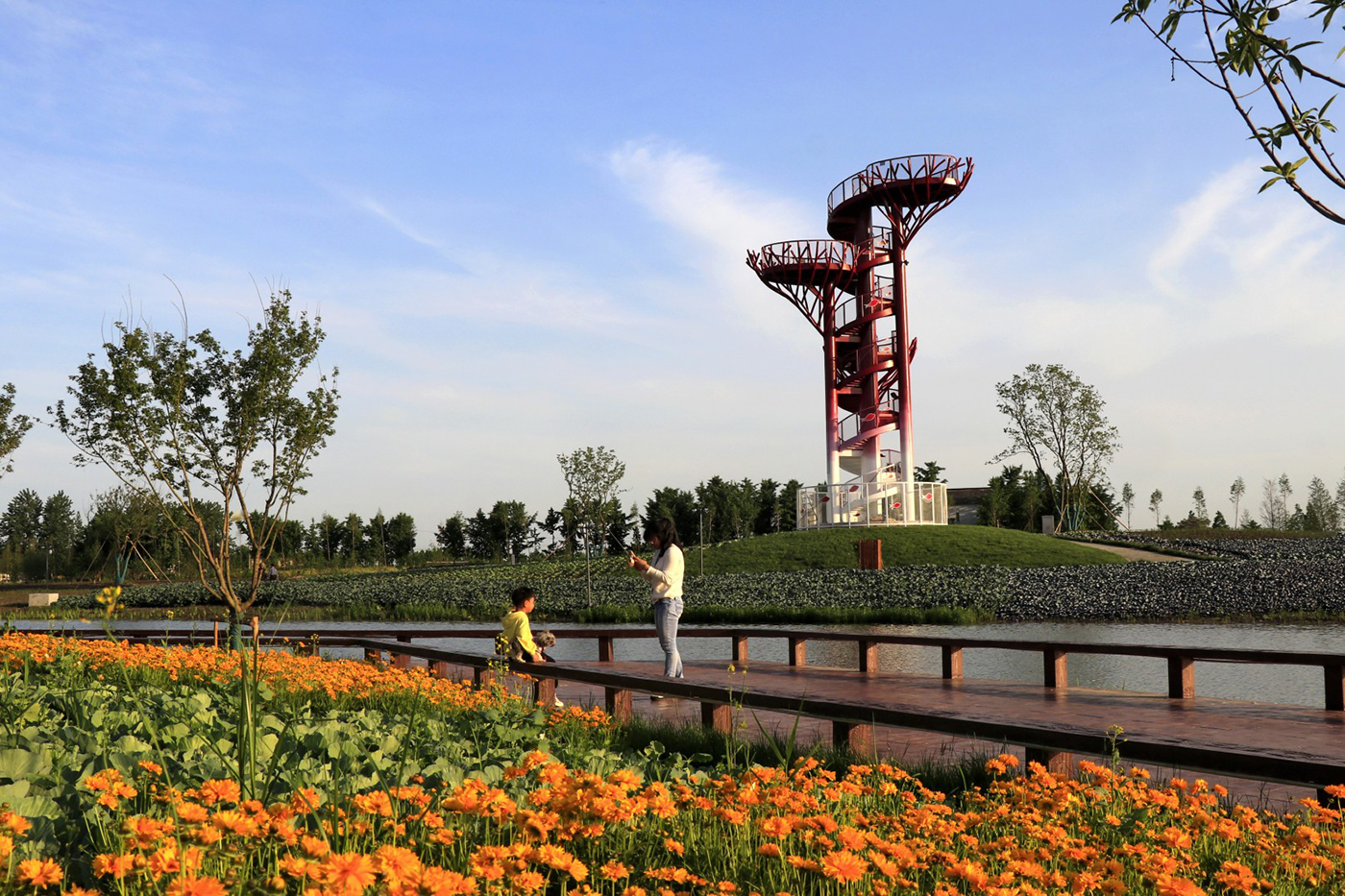 东台:家门口的乡村公园让村民生活更幸福