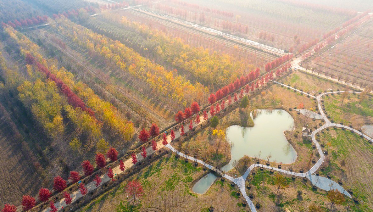 江苏省人民政府 图片新闻 沭阳:苗木主题公园色彩斑斓