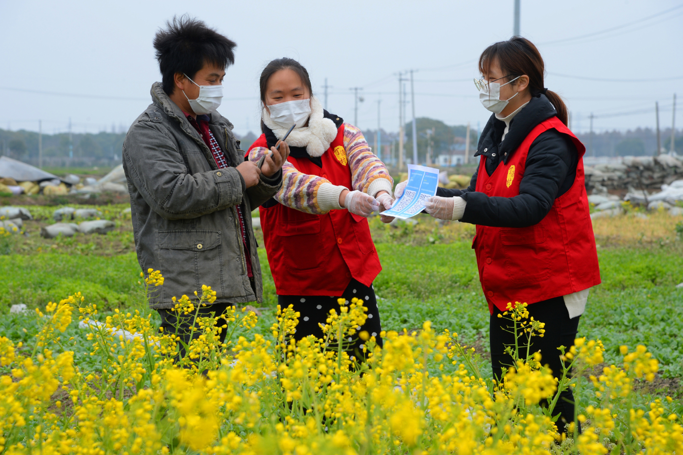 太仓基层志愿者服务在乡村