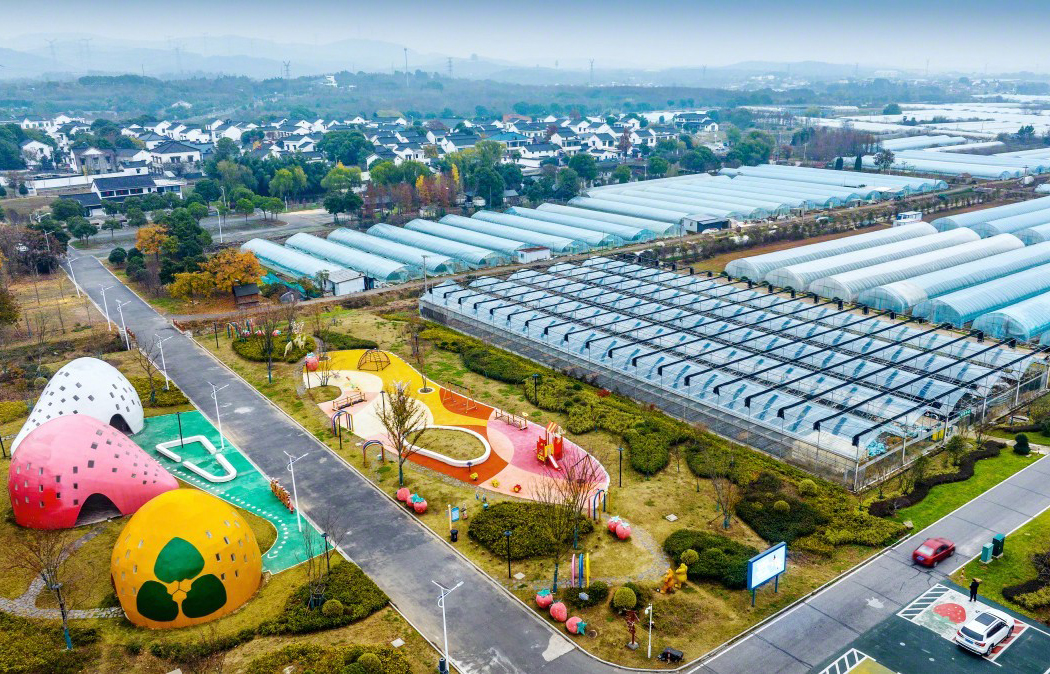 草莓产业富一方