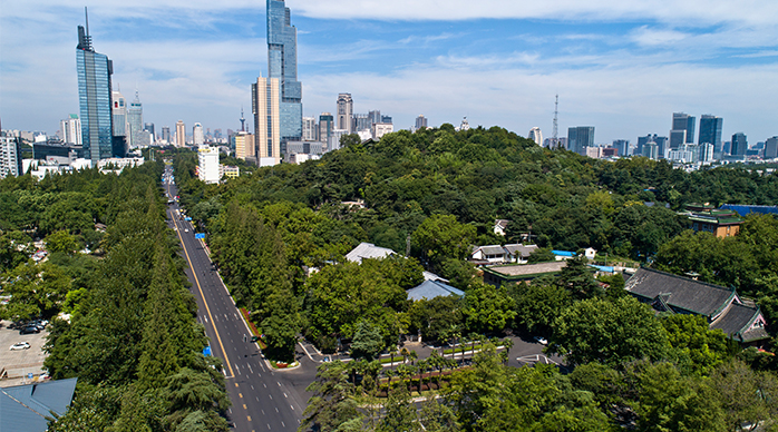 南京市北京东路换新颜 林荫大道尽显"民国风"