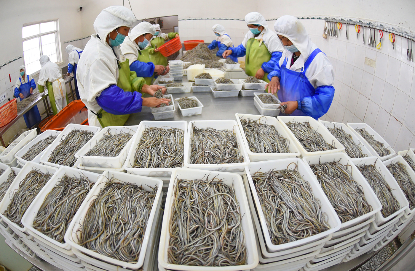 海头镇企业建站_(海头镇规划搬迁名单)