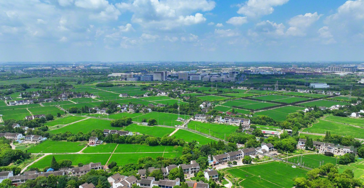 虎丘夏日田园乡村美如画卷