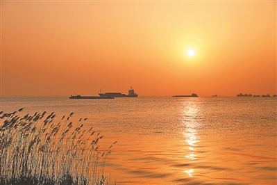 江苏省人民政府 要闻关注 我省各地积极谋划推进长江经济带发展 绿色